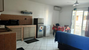 Le Frangipagnier Appartement T2 Centre ville